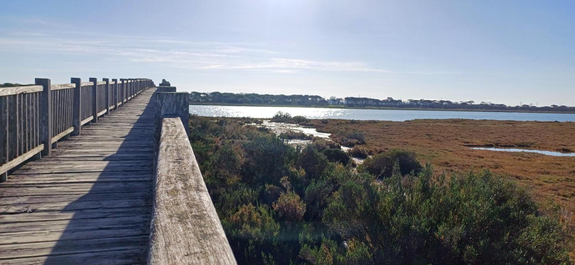 Apartamento Primera Linea De Playa Valdelagrana El Puerto de Santa María Exterior foto